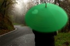 la pioggia dove? la pioggia dove?