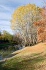 Autunno Autunno