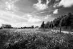 CAMPAGNA #2 CAMPAGNA #2