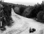 Colline Livornesi: Verso la Città Colline Livornesi: Verso la Città
