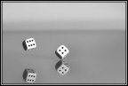 Il Caso Il Caso