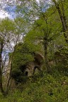 In the green In the green