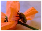esercizi del corpo e dell'anima 3