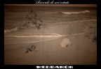 Ricordi di un'estate Ricordi di un'estate