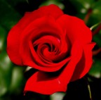 Critiche e suggerimenti sempre ben accetti!

Canon G9