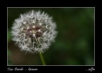 ....soffia ....soffia