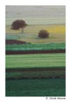 Fotopittura Fotopittura
