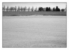 Campagna Campagna