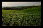 Verdi colline...di Romagna Verdi colline...di Romagna