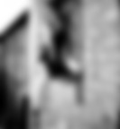 workshop - Camille Noir