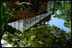 Riflessi