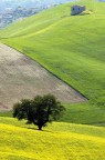 Aprile Aprile
