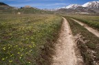 castelluccio