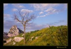 Primavera alle porte Primavera alle porte