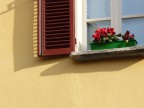 window window