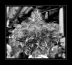 Hairstyles Hairstyles