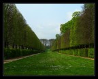 Perspective in Versailles Perspective in Versailles
