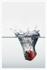 splash splash