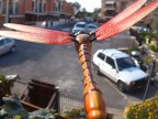In volo con una libellula In volo con una libellula