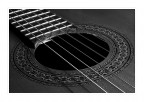 Guitar Guitar