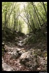 BOCCA DI VALLE BOCCA DI VALLE
