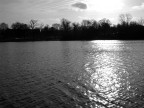Gibigiana (Hyde Park) Gibigiana (Hyde Park)