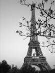 Tour Eiffel dai Giardini del Trocadero Tour Eiffel dai Giardini del Trocadero