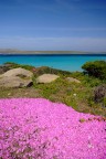 Tinte primaverili in Sardegna Tinte primaverili in Sardegna