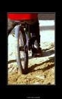 Free Ride Free Ride