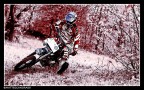PitBikeRaw PitBikeRaw