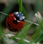 Equilibrio instabile