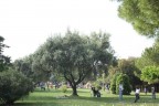 parco del conero