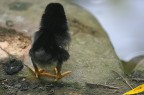 Facing a new life.... Facing a new life....