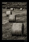 Tra le balle... Tra le balle...