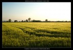 sognando di correrci dentro sognando di correrci dentro