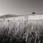 Paesaggio Paesaggio