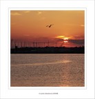 L'ultimo volo del giorno......