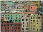 Caos Genovese Caos Genovese