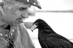 Il falconiere Il falconiere