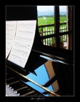 La finestra (del piano) di fronte La finestra (del piano) di fronte