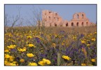 SABRATHA SABRATHA