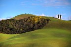 ..essenza toscana VIII.. ..essenza toscana VIII..