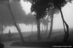 nebbia in bn...? nebbia in bn...?