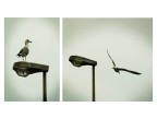 storia di un volo storia di un volo