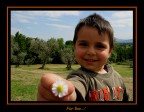 For You...! For You...!