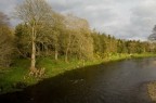 River River