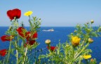 Isola d'Elba - Lo Scoglietto Isola d'Elba - Lo Scoglietto
