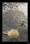 Portami via.... Portami via....