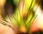 macro6 macro6