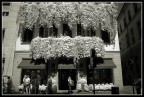 Via Montenapoleone n.4 (gruppo street, 6 raduno NSF) Via Montenapoleone n.4 (gruppo street, 6 raduno NSF)